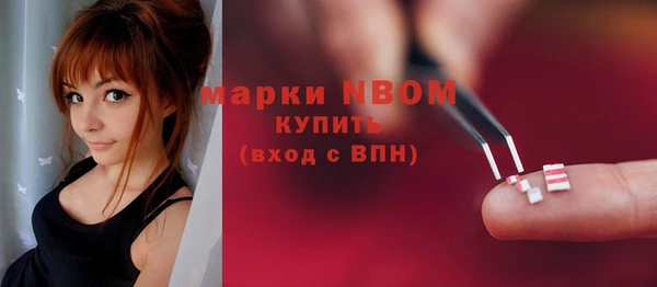 эйфоретик Тайга