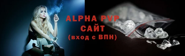 ПСИЛОЦИБИНОВЫЕ ГРИБЫ Семёнов
