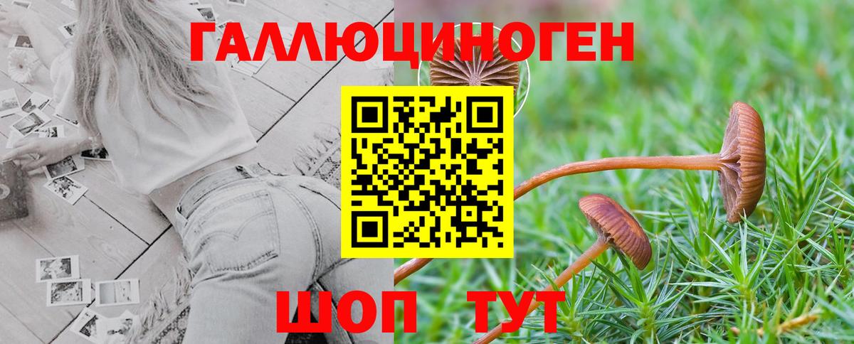 Галлюциногенные грибы ЛСД  Губкин 