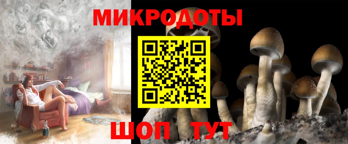 Галлюциногенные грибы Psilocybine cubensis  Псилоцибиновые грибы прущие грибы  Губкин  Вход с VPN 