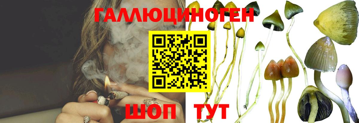 Псилоцибиновые грибы GOLDEN TEACHER Губкин